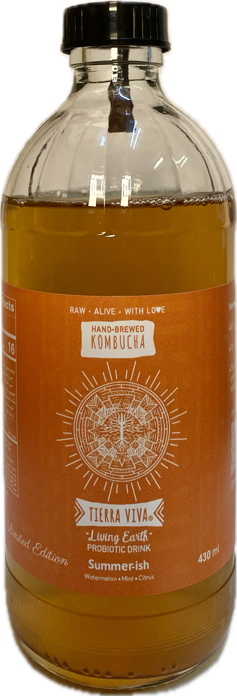 Kombucha Tierra Viva® Summer-ish